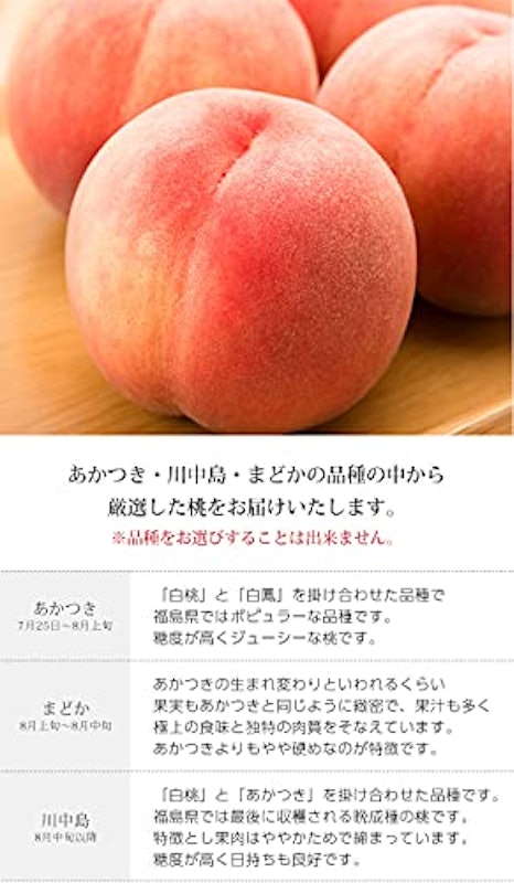 JAふくしま未来 ミスピーチ 5