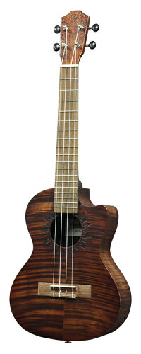 V4-TCE SUN 1