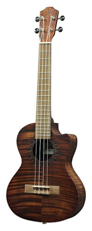 V4-TCE SUN 1