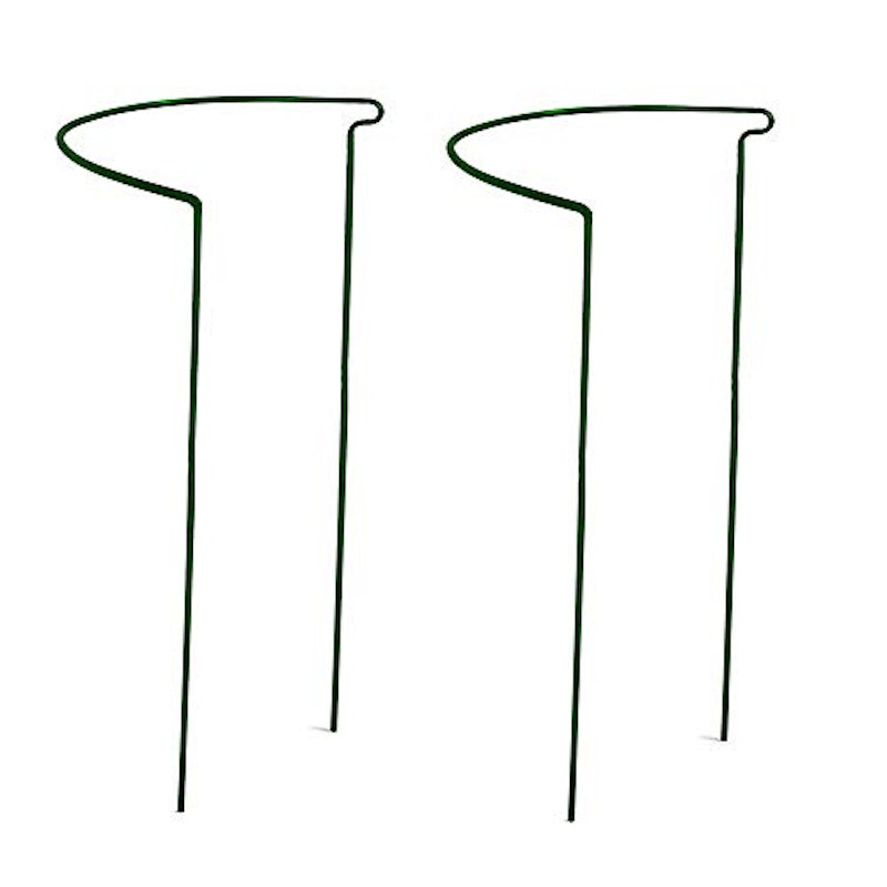植物支柱 1