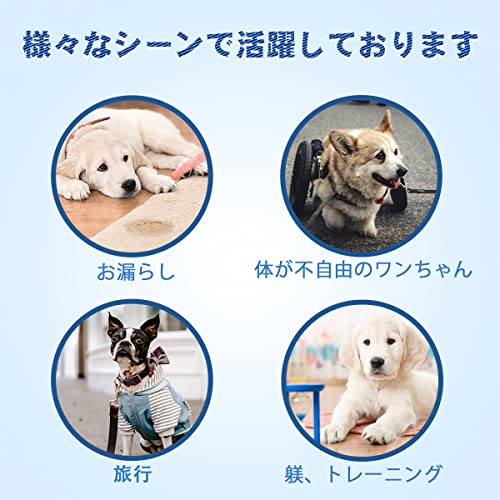 犬用おむつ 5