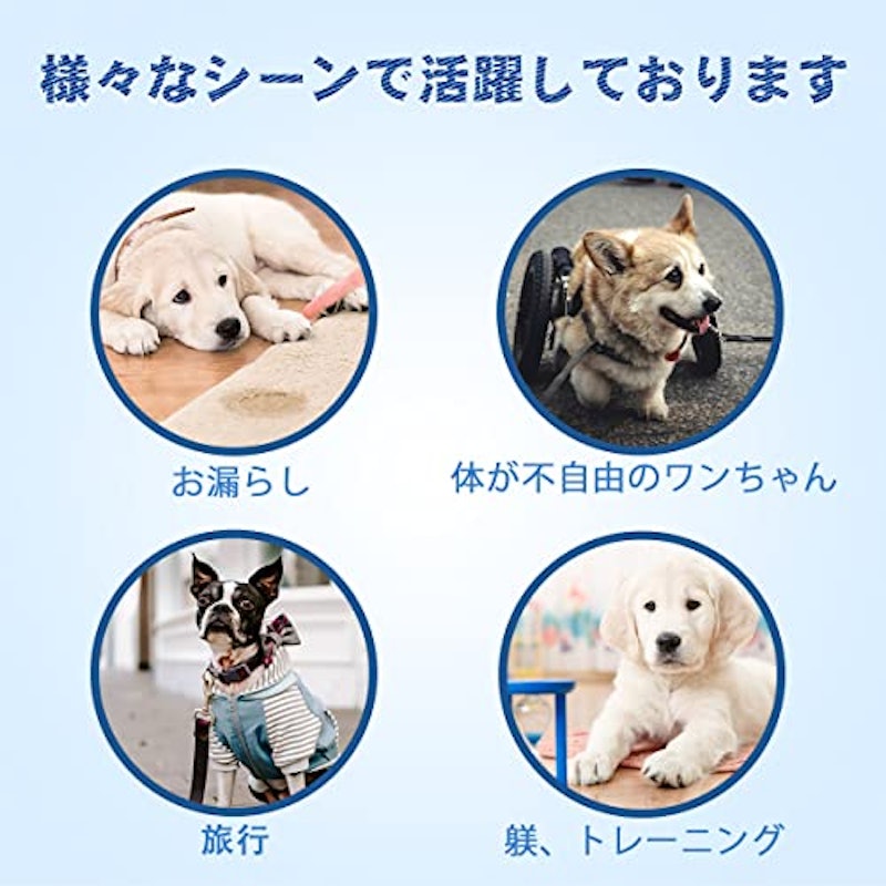 犬用おむつ 5