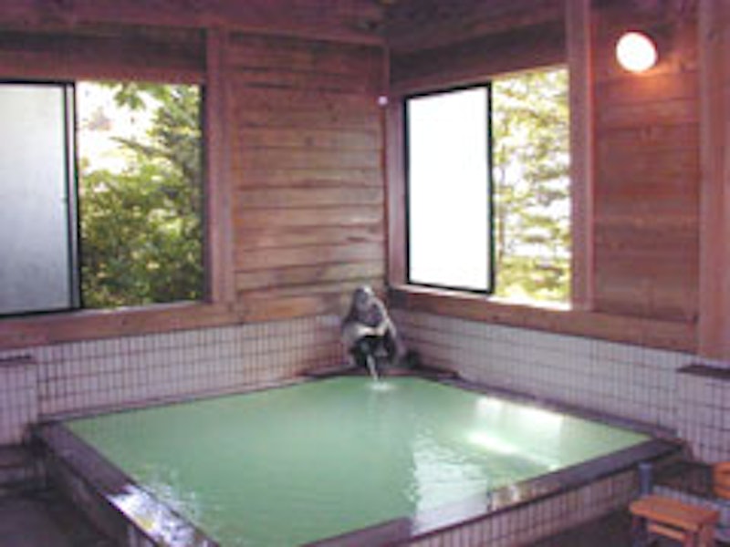 草津温泉 日新館 2