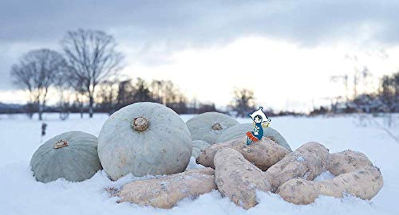 カボチャのはこだて雪んこ 5