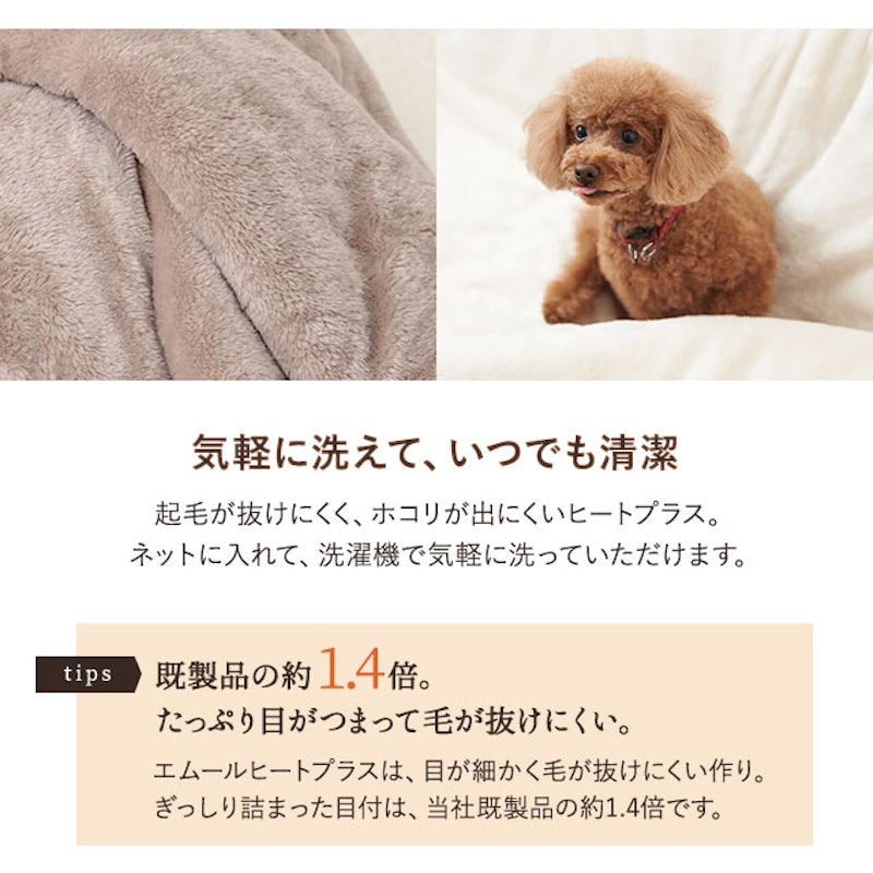ペット用 わた入り2枚合わせ毛布 5