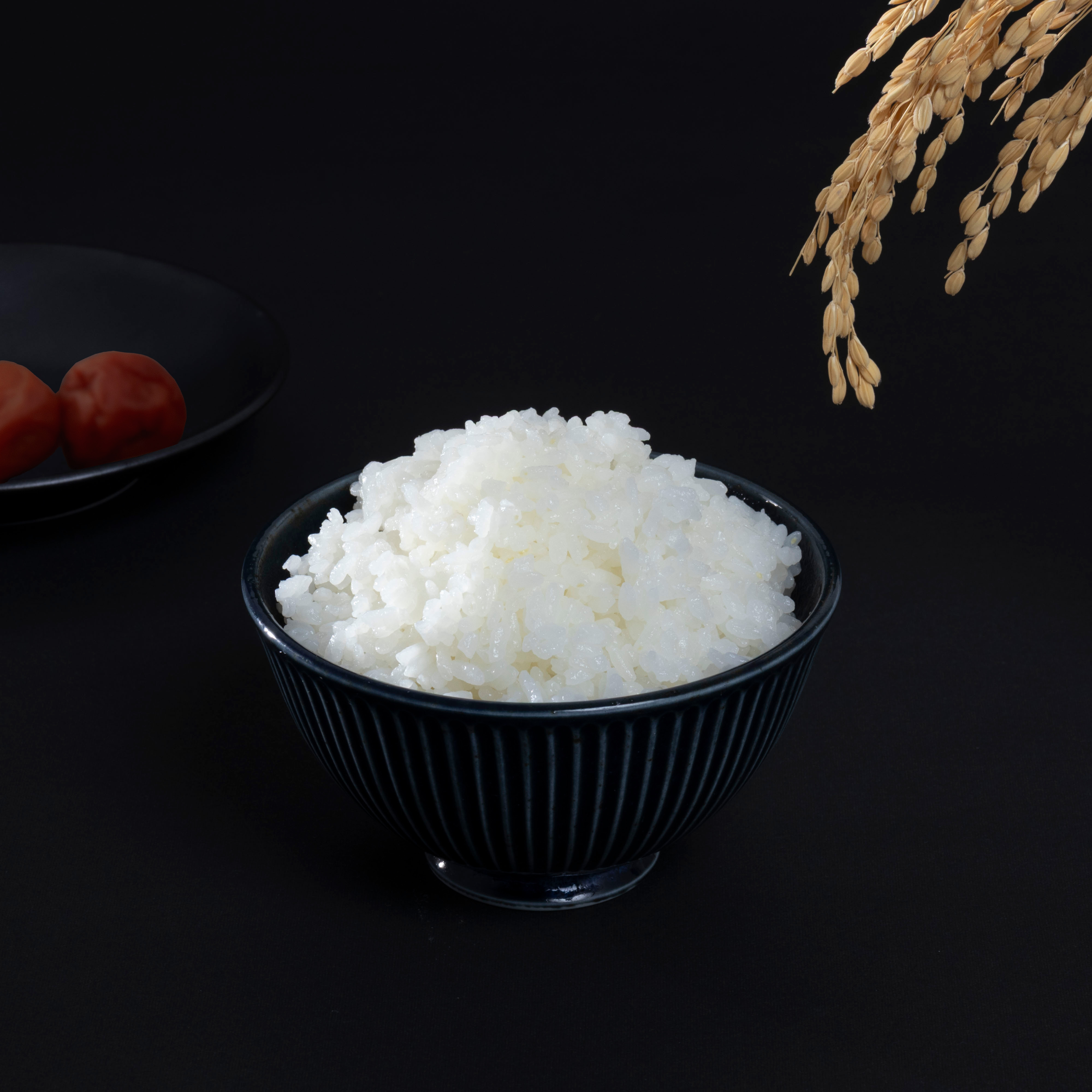 東芝ライフスタイル マイコンジャー炊飯器 RC-5AMX-Wを検証レビュー！炊飯器の選び方も紹介 3