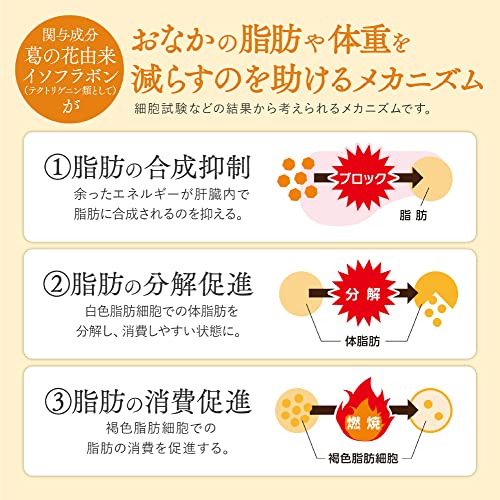 おなかの脂肪が気になる方のタブレット（粒タイプ） 5