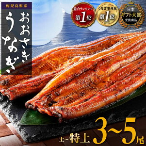 うなぎ 長蒲焼 1