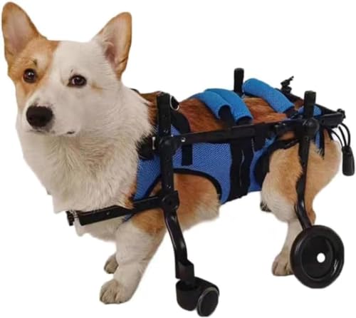 4輪の犬用車椅子・歩行器のおすすめ人気ランキング【2025年