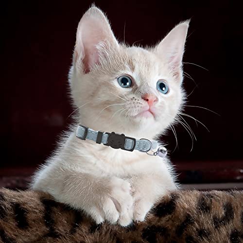 猫 首輪 2個セット  4