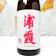 佐浦 芳醇純米原酒 1