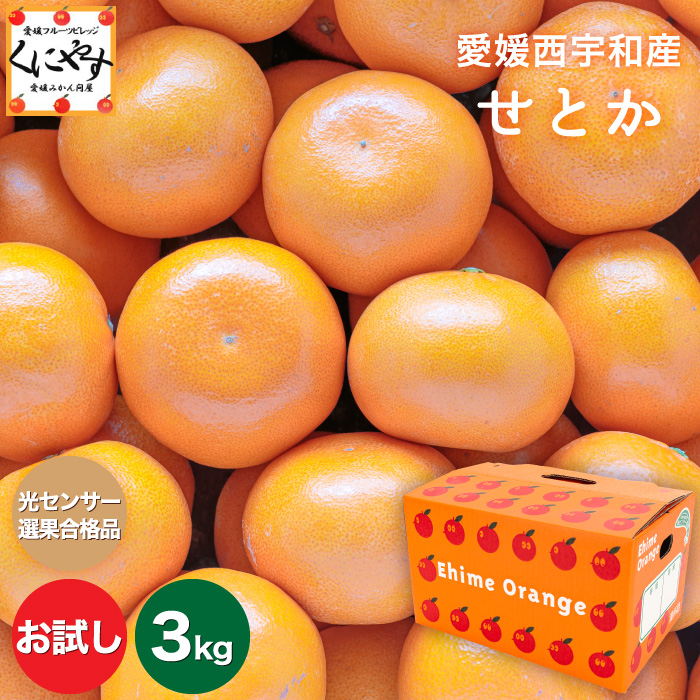 愛媛西宇和産　せとか 1