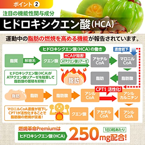 燃焼革命Premium 3