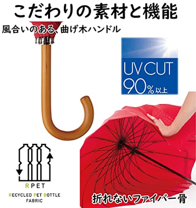 16本骨傘 江戸 4