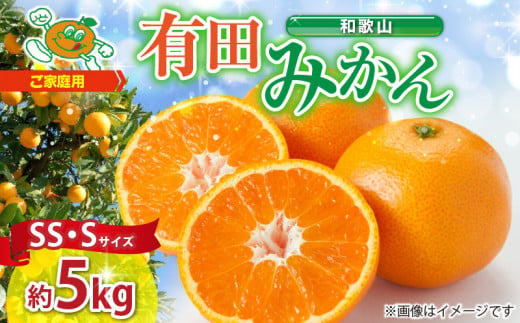 温州みかん 1