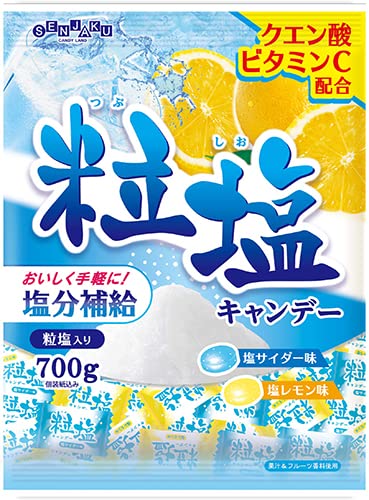 粒塩キャンデー 1