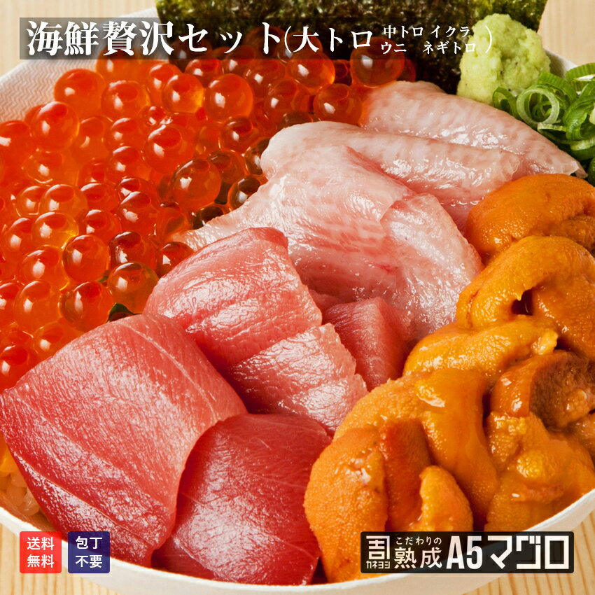 海鮮贅沢 福袋セット 1