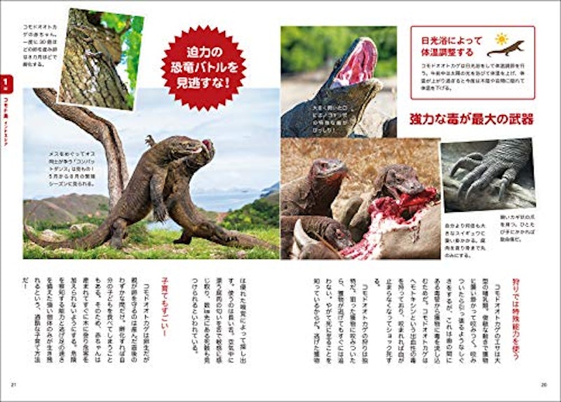 マンガでわかる!世界のすごい爬虫類 4