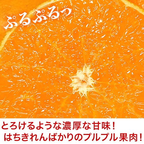 せとか 訳あり 2