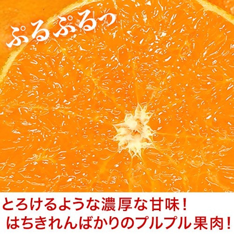 せとか 訳あり 2