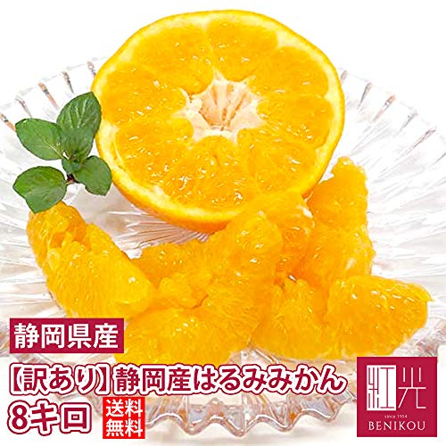 静岡産 はるみみかん 2