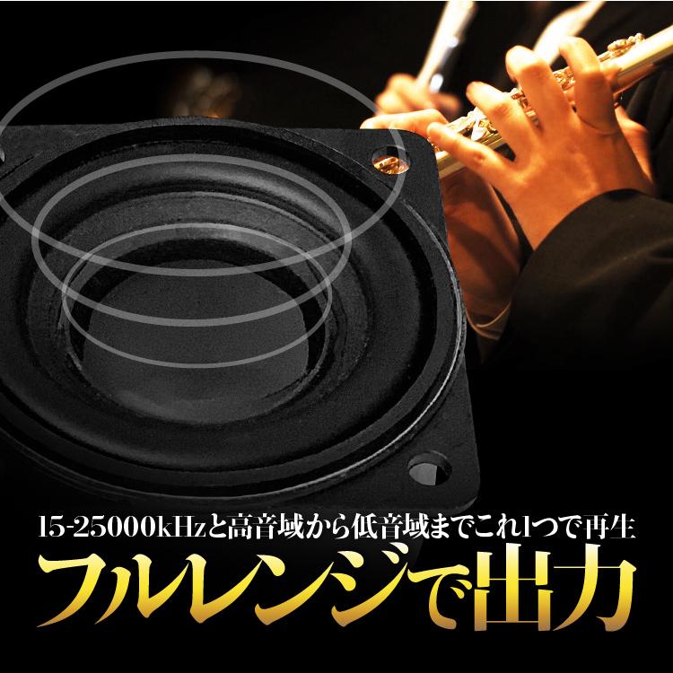 コンパクトフルレンジ スピーカーユニット 2