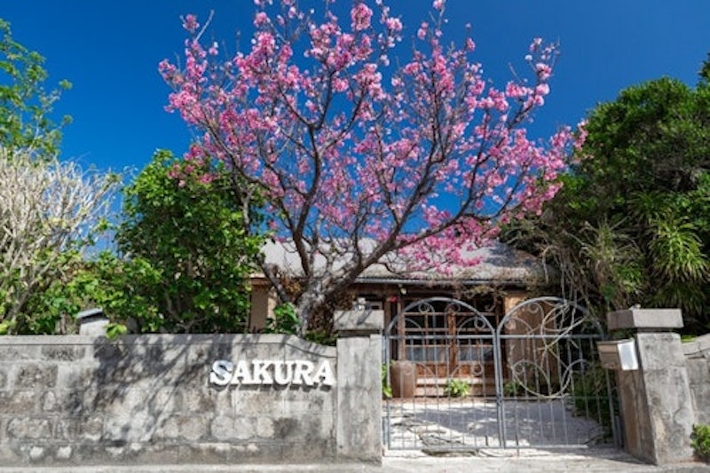 SAKURA HOUSE 1