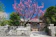 null SAKURA HOUSE 1