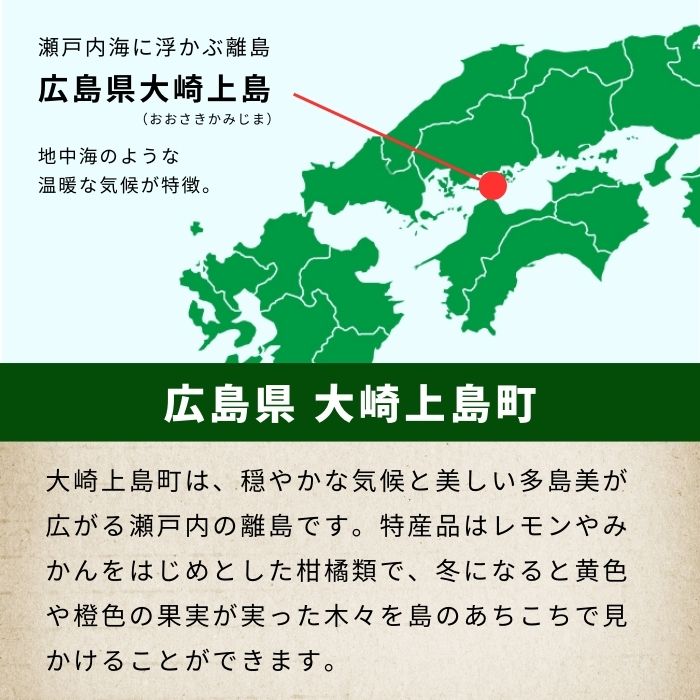 塩田熟成縞牡蠣 クレールストライプオイスター 6