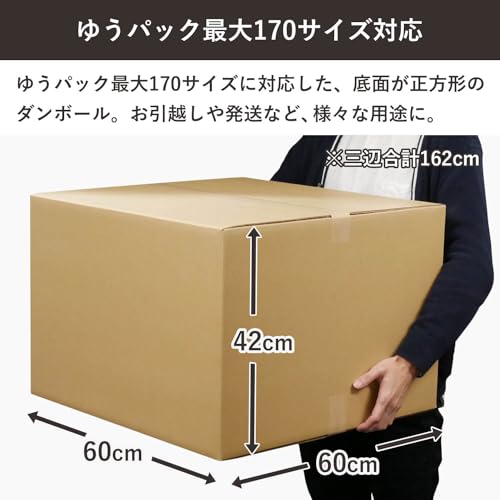 ダンボール 2