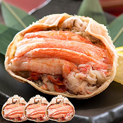 越前産 ズワイガニ 甲羅盛り 1