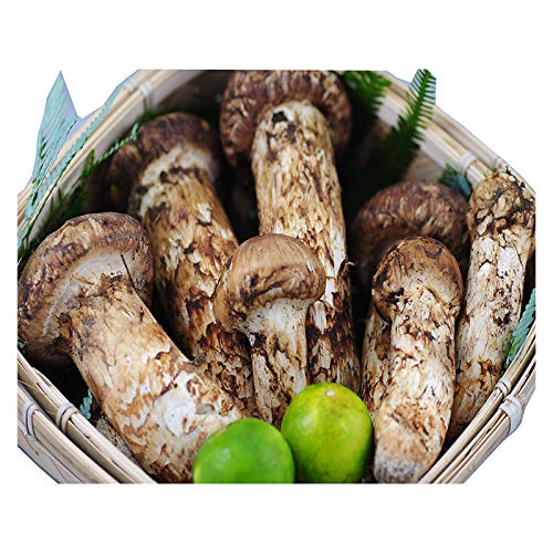 岩手県産天然松茸】100g×3袋 炊き込みご飯用 割き松茸 300g