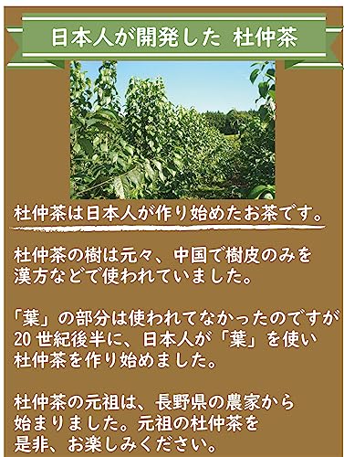 杜仲茶 7