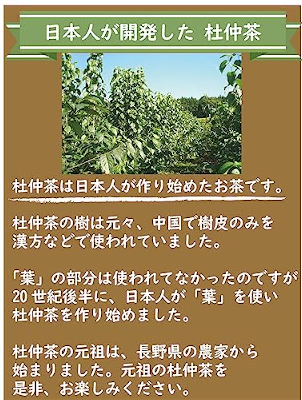 杜仲茶 7