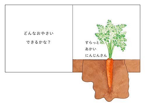 いろんなおやさいどこになる？  7
