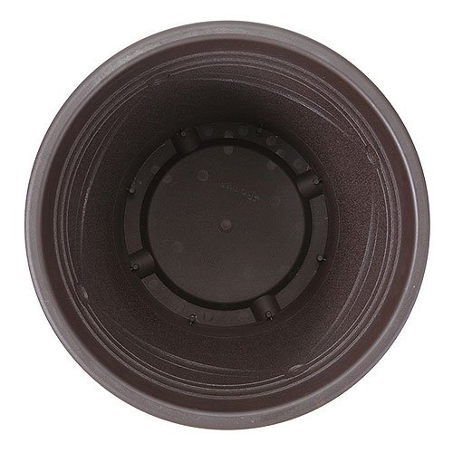 メダカの深鉢 黒茶 13号 2