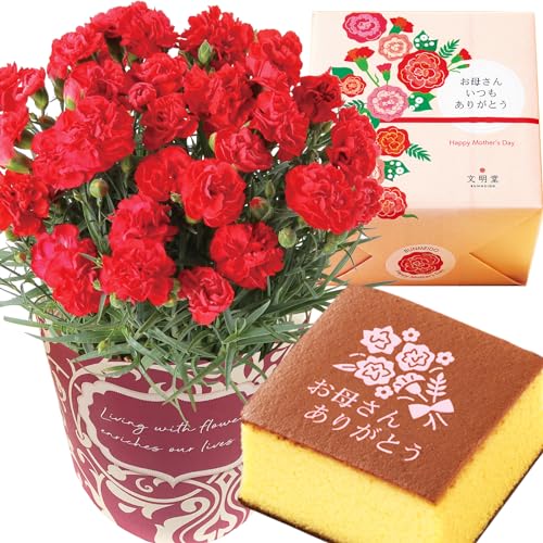 花とスイーツセット 1