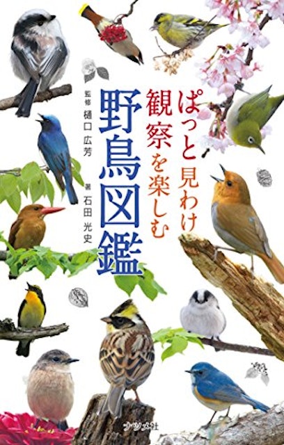 野鳥図鑑のおすすめ人気ランキング10選 鳴き声を聴けるものも Mybest 野鳥図鑑のおすすめ人気ランキング10選 鳴き声を聴けるものも Mybest
