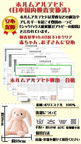 撮影セット付 ファーストトイ 6