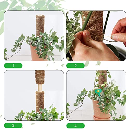 植物支柱 4
