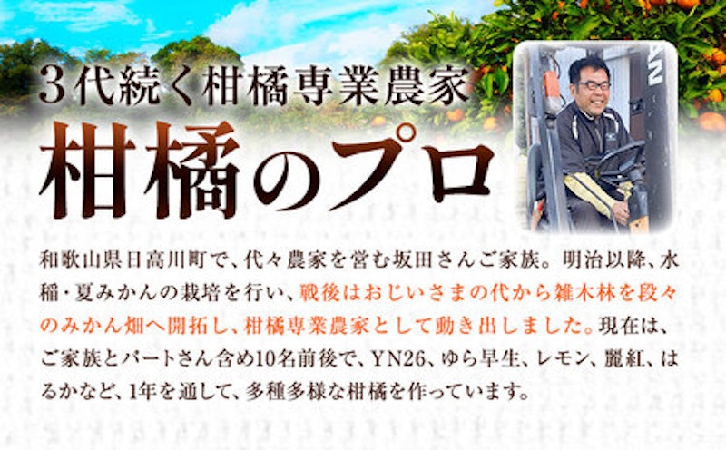 早生みかん 2