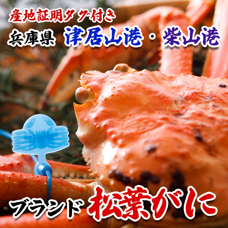 兵庫県水揚げ 松葉ガニ 5