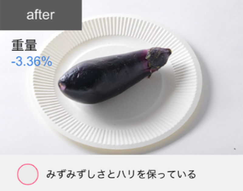 冷凍冷蔵庫 17