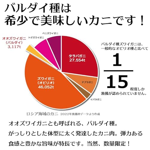 特選バルダイ種 特大ずわいがに脚 4