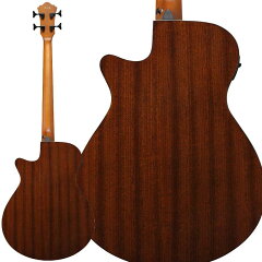 Ibanez AEGB24E 2