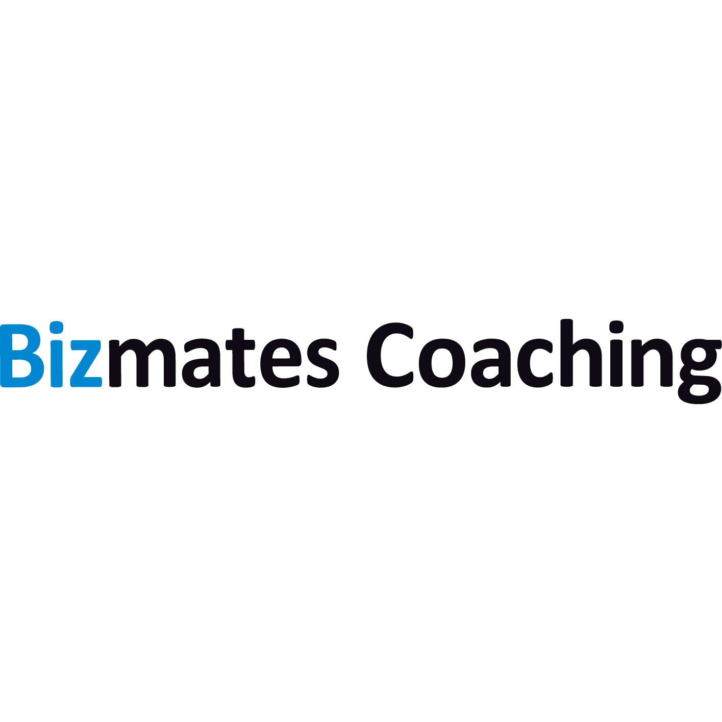 Bizmates Coaching 1