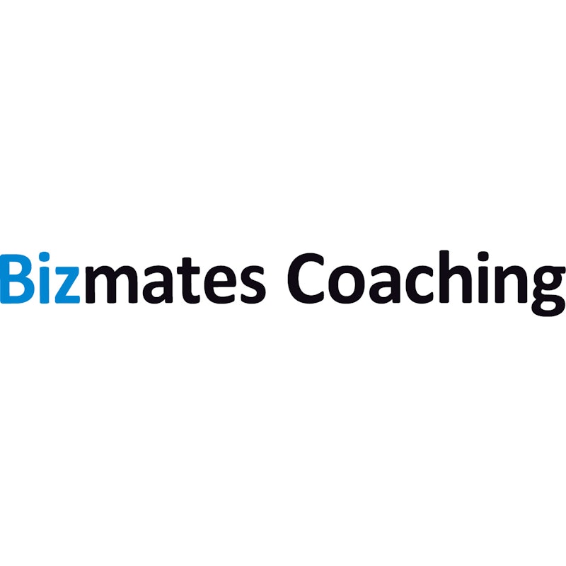 Bizmates Coaching 1