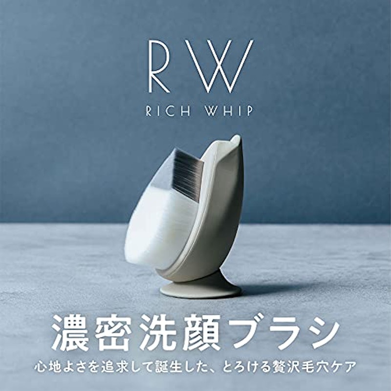 リッチホイップブラシ SHINKA 1
