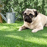 タンスのゲンの人工芝のおすすめ人気ランキング【2026年8月】 5