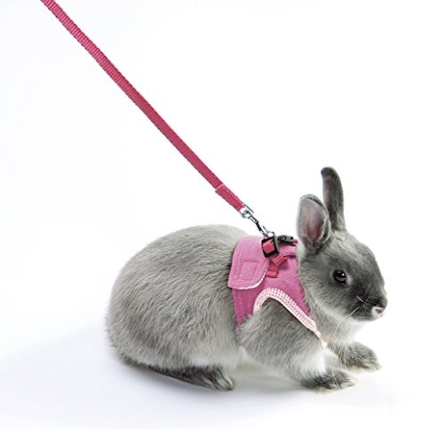 22年 うさぎ用ハーネスのおすすめ人気ランキング10選 Mybest 22年 うさぎ用ハーネスのおすすめ人気ランキング10選 Mybest